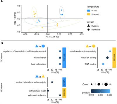 A molecular perspective on the invasibility of the southern ocean benthos: The impact of hypoxia and temperature on gene expression in South American and Antarctic Aequiyoldia bivalves